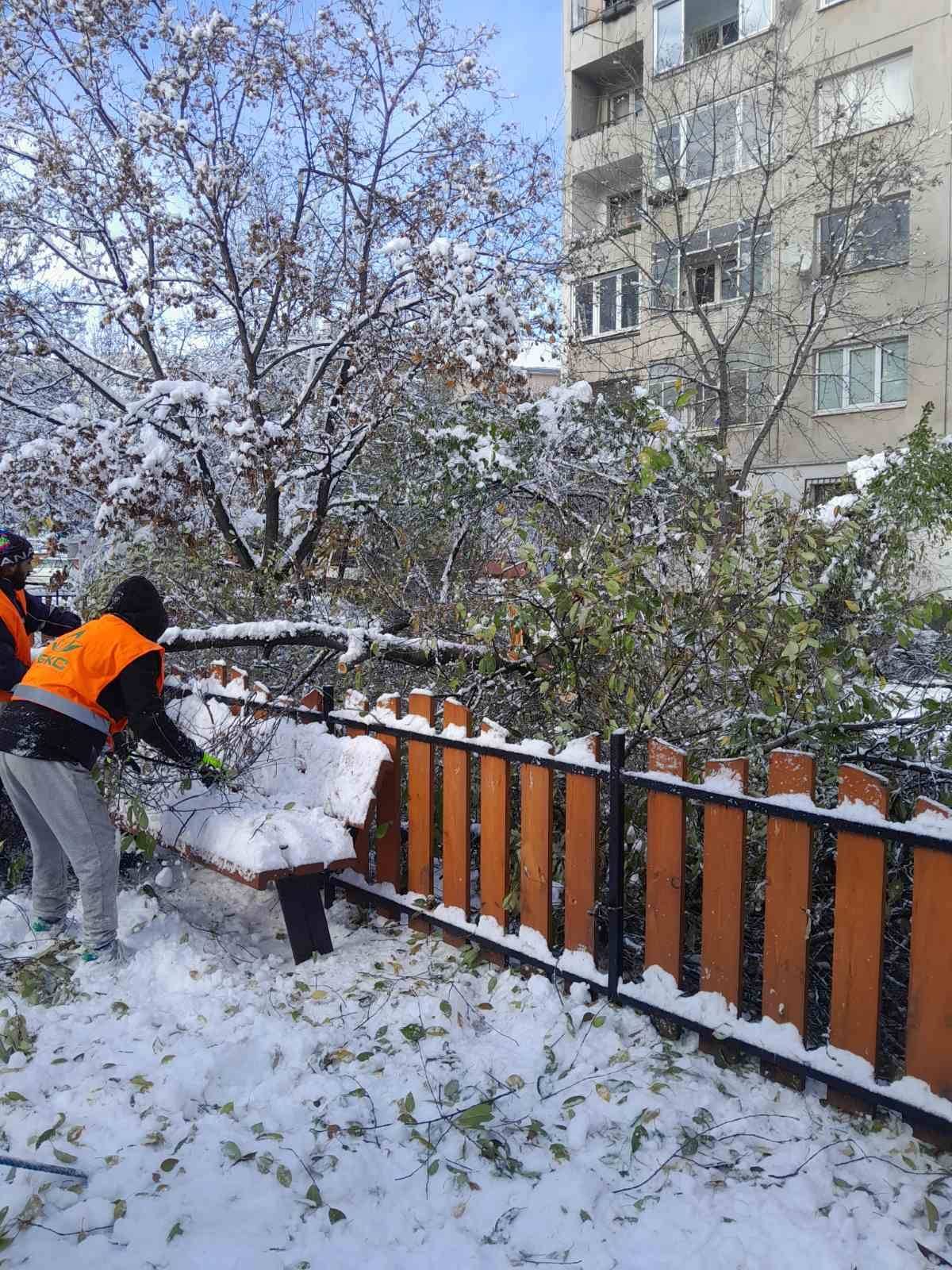  Паднали дървета в софийски квартал 